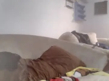 molotovfoxtail Image 12