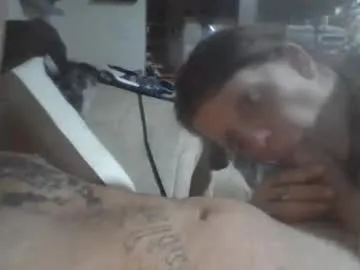 molotovfoxtail Image 14